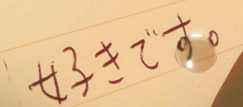 Suki Desu의 진정한 의미