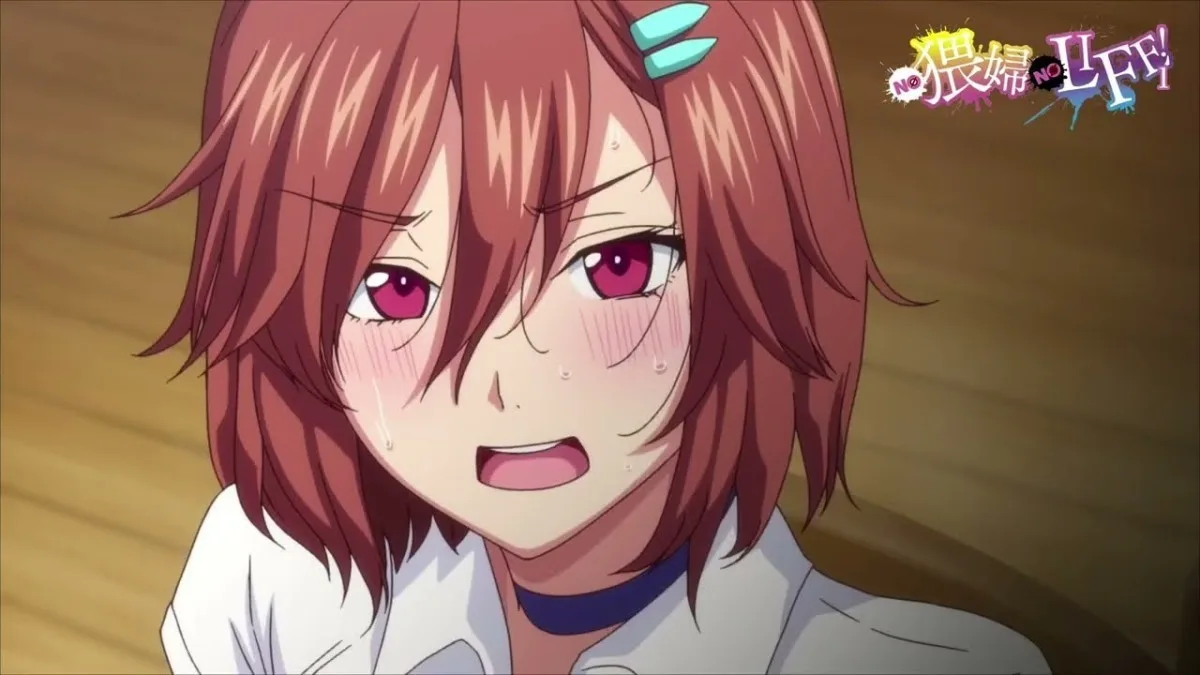 No Waifu No Life에 대한 정보와 호기심