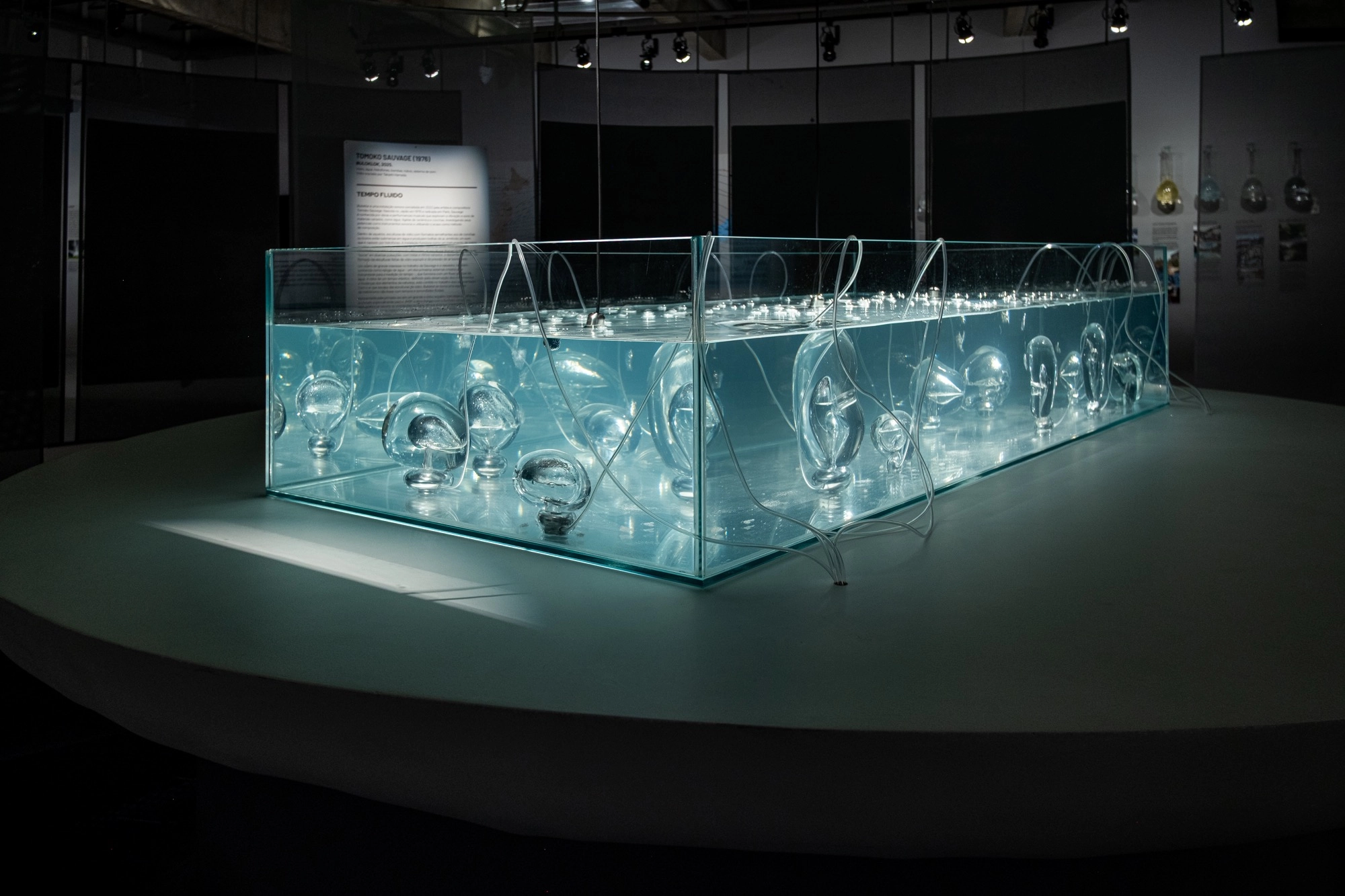 Exposição na Japan House mostra a relação do Japão com a água